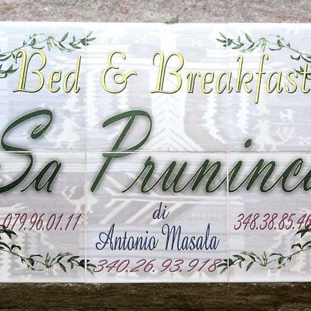 Bed and Breakfast Sa Pruninca Villanova Monteleone Exterior foto